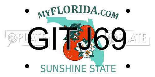 GITJ69 Florida License Plate
