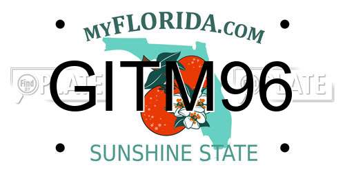 GITM96 Florida License Plate