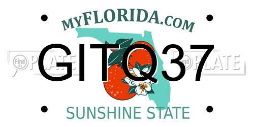 GITQ37 Florida License Plate