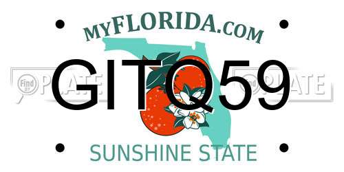 GITQ59 Florida License Plate