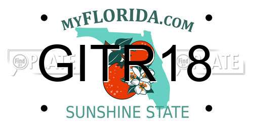 GITR18 Florida License Plate