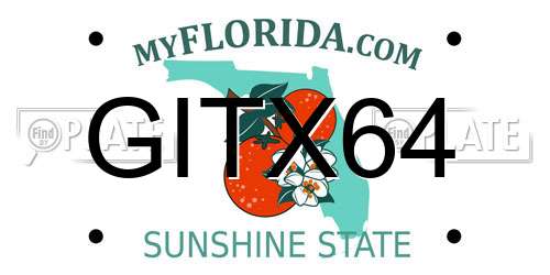 GITX64 Florida License Plate