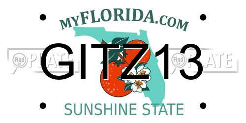 GITZ13 Florida License Plate