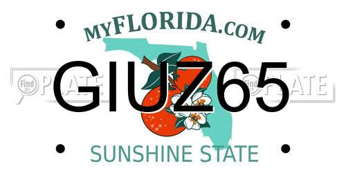 GIUZ65 Florida License Plate