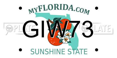 GIW73 Florida License Plate