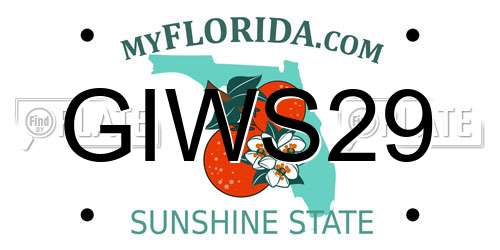 GIWS29 Florida License Plate