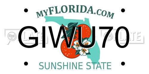 GIWU70 Florida License Plate