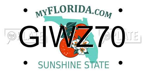 GIWZ70 Florida License Plate
