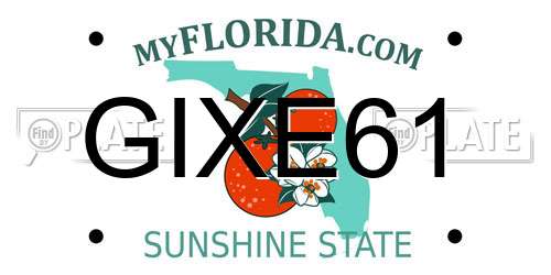GIXE61 Florida License Plate
