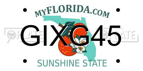 GIXG45 Florida License Plate