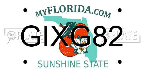 GIXG82 Florida License Plate