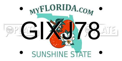 GIXJ78 Florida License Plate
