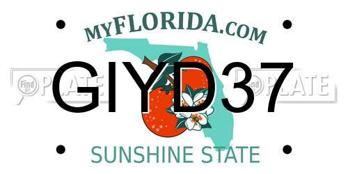 GIYD37 Florida License Plate