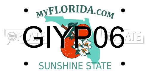 GIYP06 Florida License Plate