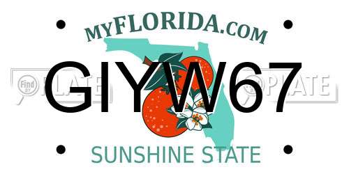 GIYW67 Florida License Plate