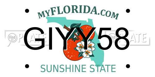 GIYY58 Florida License Plate