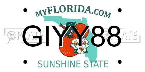 GIYY88 Florida License Plate
