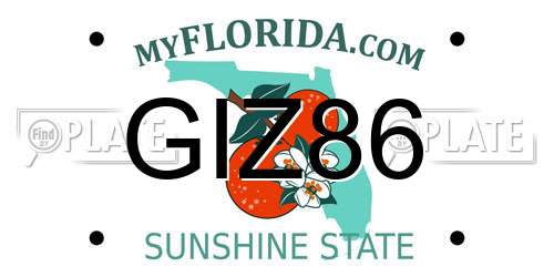 GIZ86 Florida License Plate