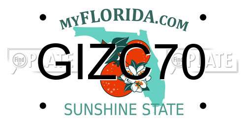 GIZC70 Florida License Plate