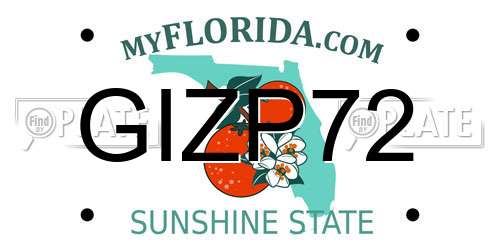 GIZP72 Florida License Plate