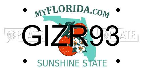 GIZR93 Florida License Plate