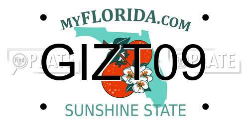 GIZT09 Florida License Plate