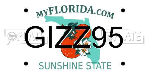 GIZZ95 Florida License Plate