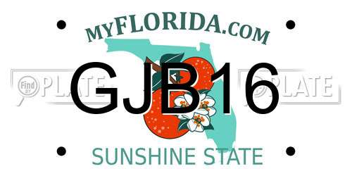 GJB16 Florida License Plate