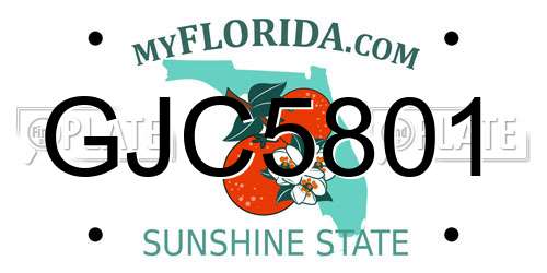 GJC5801 Florida License Plate