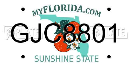 GJC8801 Florida License Plate