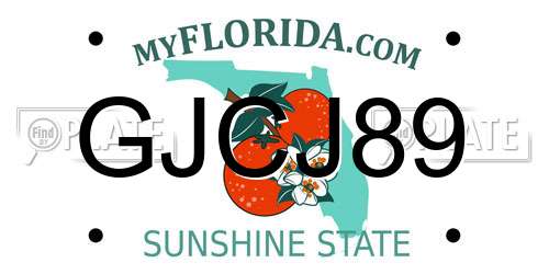GJCJ89 Florida License Plate