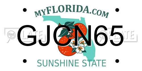 GJCN65 Florida License Plate