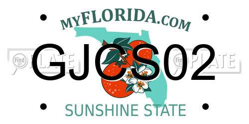 GJCS02 Florida License Plate