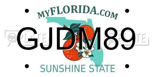 GJDM89 Florida License Plate