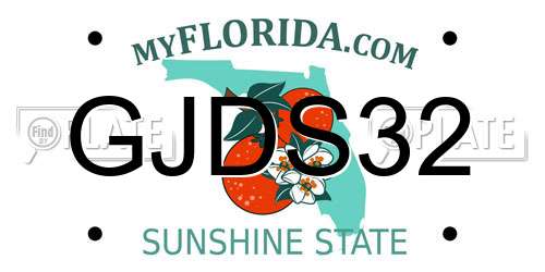 GJDS32 Florida License Plate