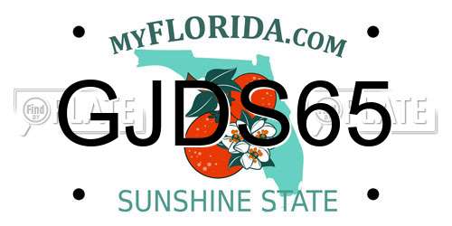 GJDS65 Florida License Plate