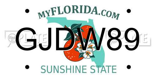 GJDW89 Florida License Plate