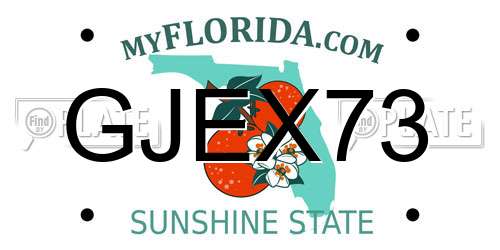 GJEX73 Florida License Plate