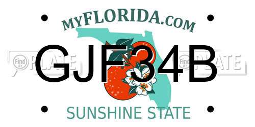 GJF34B Florida License Plate