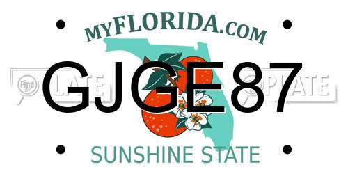 GJGE87 Florida License Plate