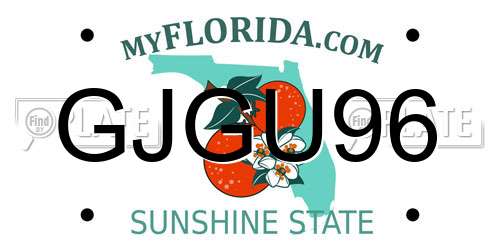 GJGU96 Florida License Plate