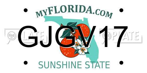 GJGV17 Florida License Plate