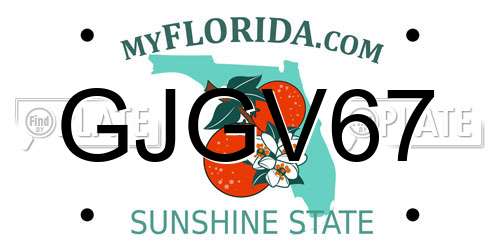 GJGV67 Florida License Plate