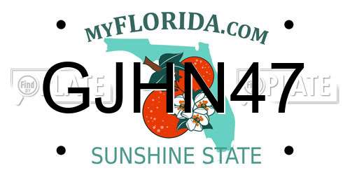 GJHN47 Florida License Plate