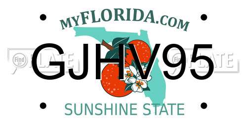 GJHV95 Florida License Plate