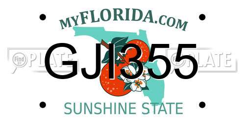 GJI355 Florida License Plate