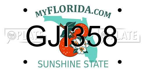 GJI358 Florida License Plate