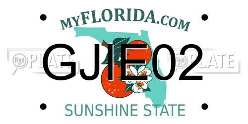 GJIE02 Florida License Plate