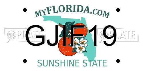 GJIF19 Florida License Plate
