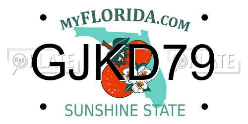 GJKD79 Florida License Plate